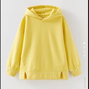 Zara Basic Hooded Sweatshirt